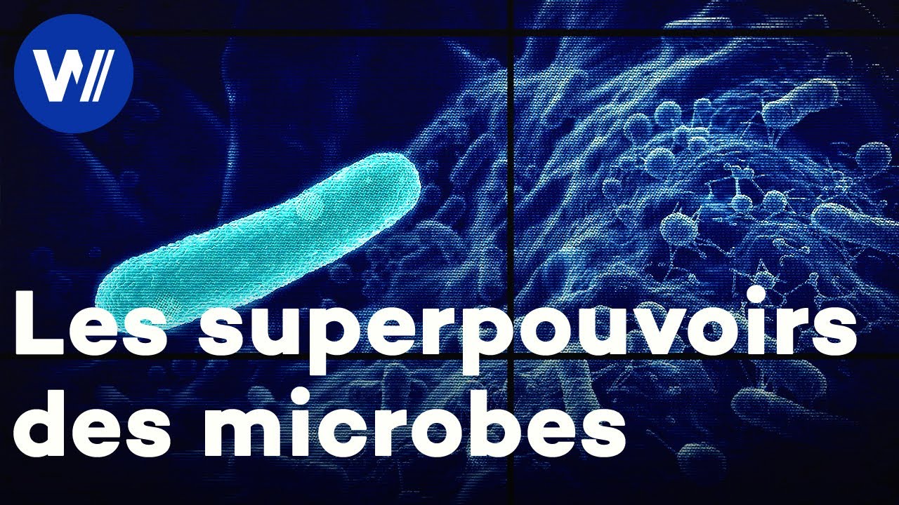 Les microbes, ces super-héros invisibles essentiels à la vie sur Terre ! (Documentaire complet)