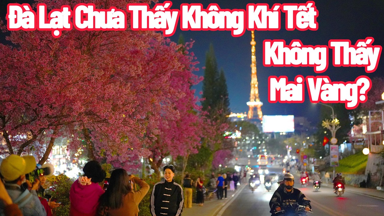 Đà Lạt Bớt Lạnh, Vì Sao Năm Nay Hoa Tết Không Thấy Mai Vàng
