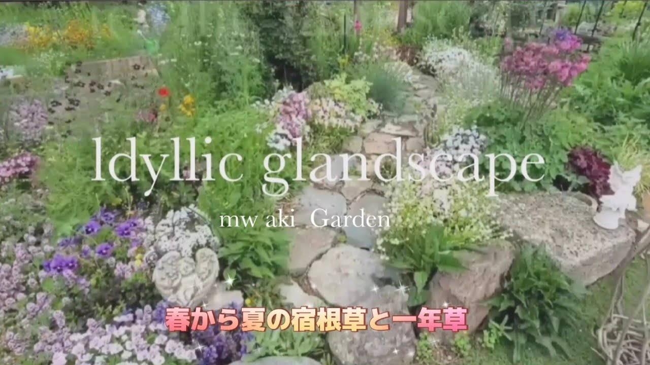 宿根草と一年草のナチュラルガーデン✼春から夏に咲き誇る花々✼のどかな風景✤秋の種まきは忙しくなる