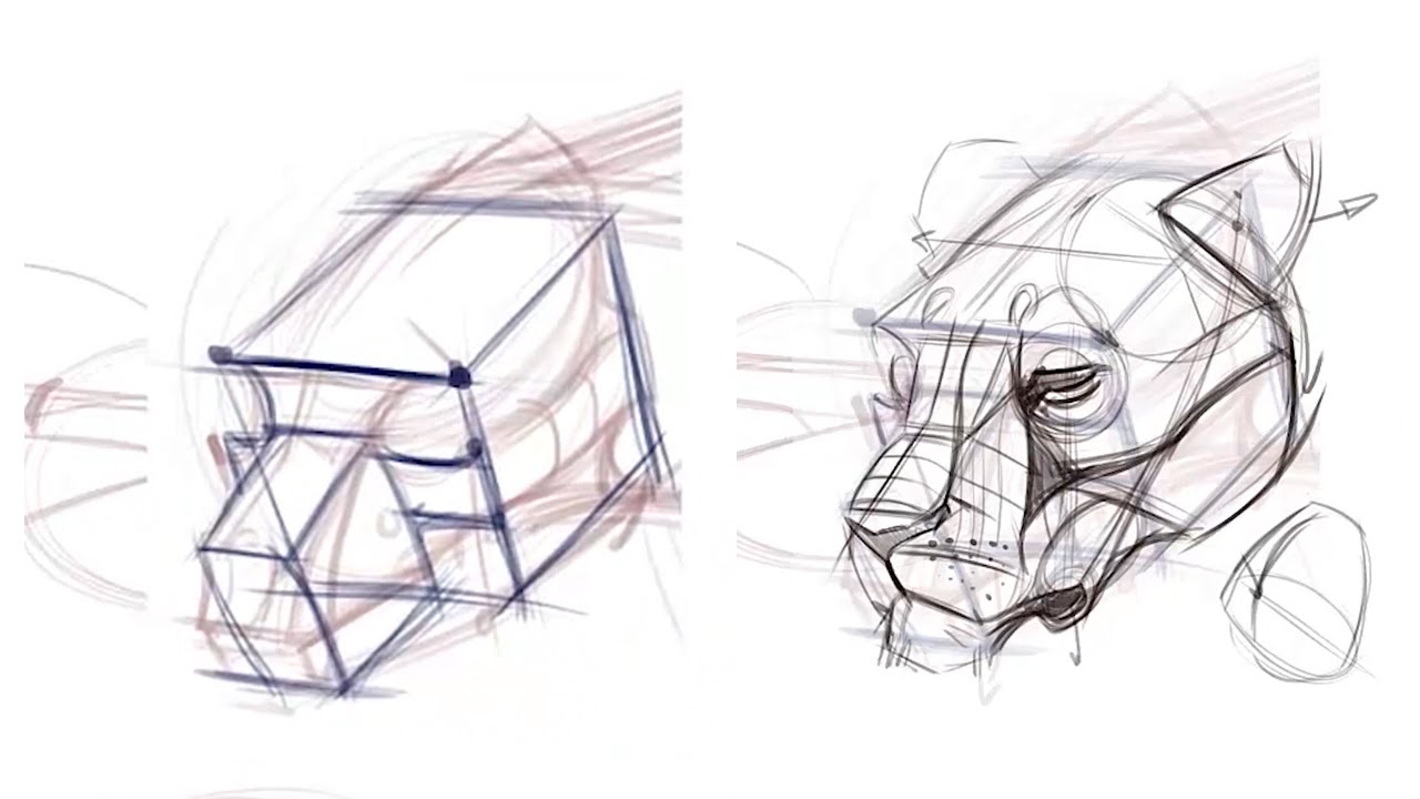 The Fundamentals of Animal Head Construction