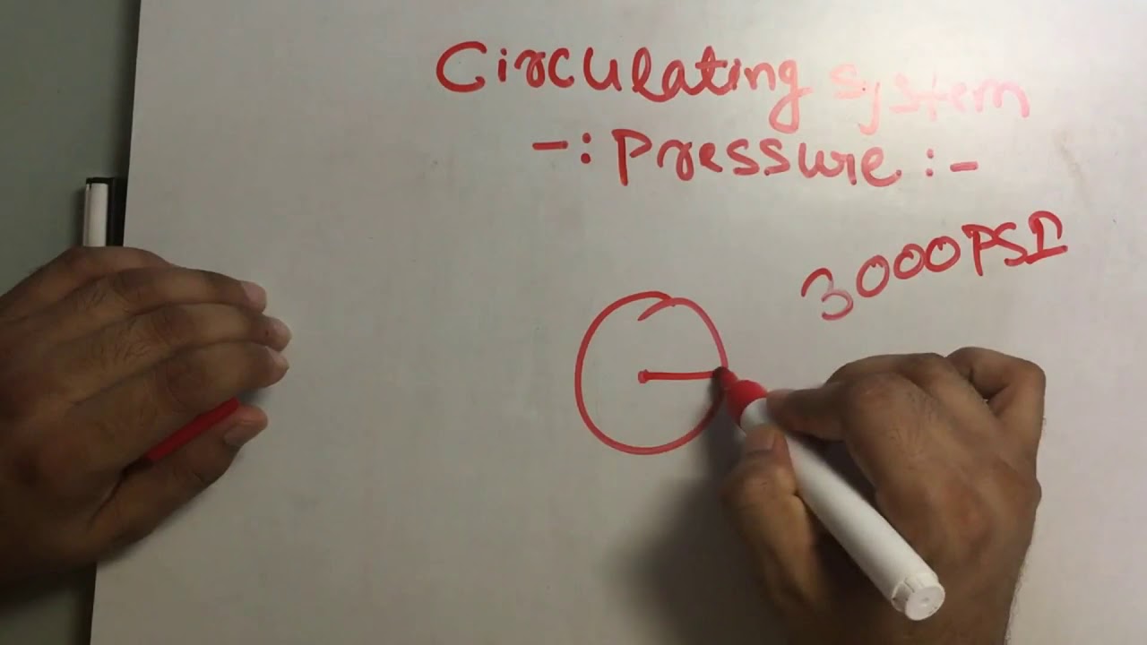Circulating System, Friction Pressure Losses In a well