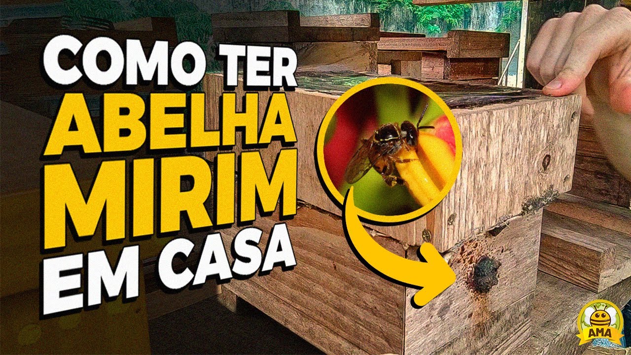 O GUIA COMPLETO de como CRIAR MIRIM em CASA🐝🏡