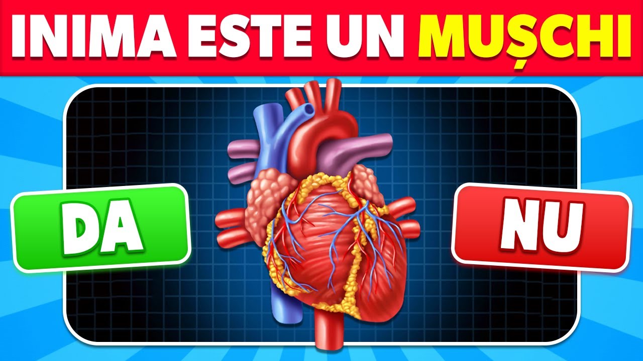 Cât de Bine Îți Cunoști Corpul Uman?