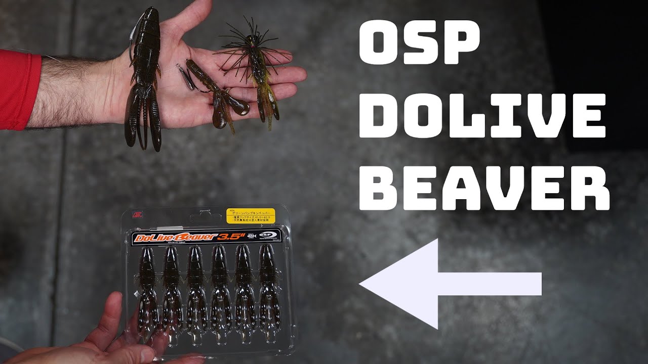 Самая продаваемая мягкая пластиковая приманка 2021 года! Обзор OSP Dolive Beaver!