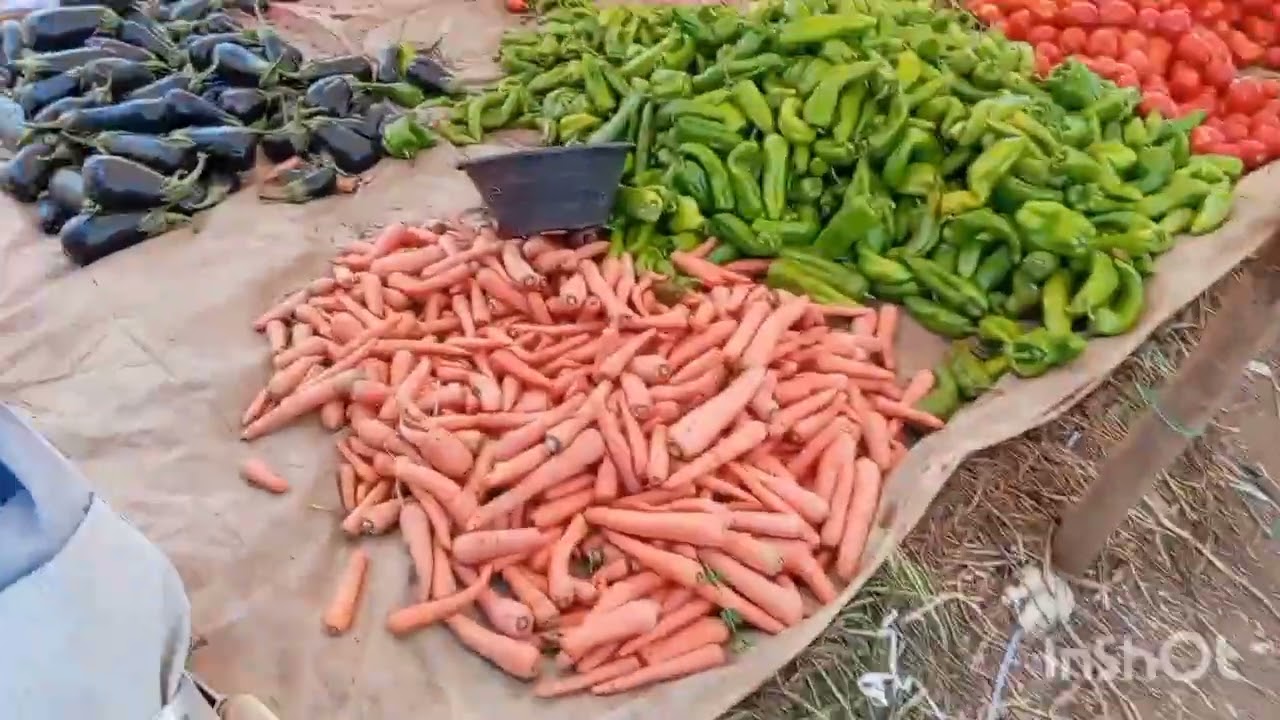 جولة في سوق الاثنين الاسبوعي مدينتي مشرع بلقصيري الغرب✍️ #تسوّق #السوق_الاسبوعي #مشرع_بلقصيري