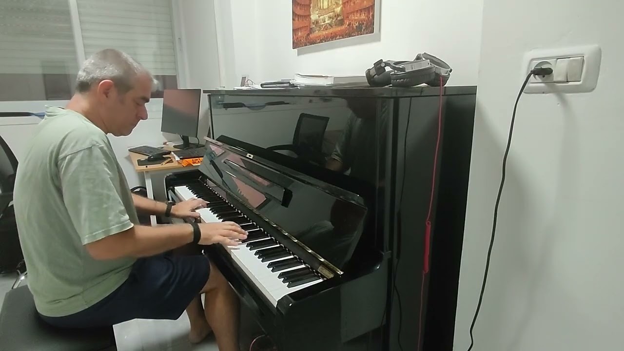 Sibelius - Impromptu no. 5  - My own version