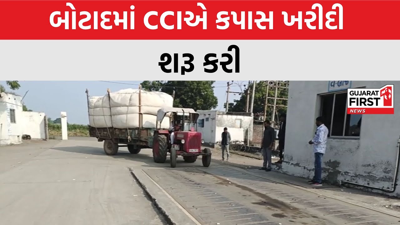 Botad: બોટાદમાં CCIએ કપાસ ખરીદી શરૂ કરી, એ-ગ્રેડ કપાસને 1612 રૂ. પ્રતિ મણ ભાવ