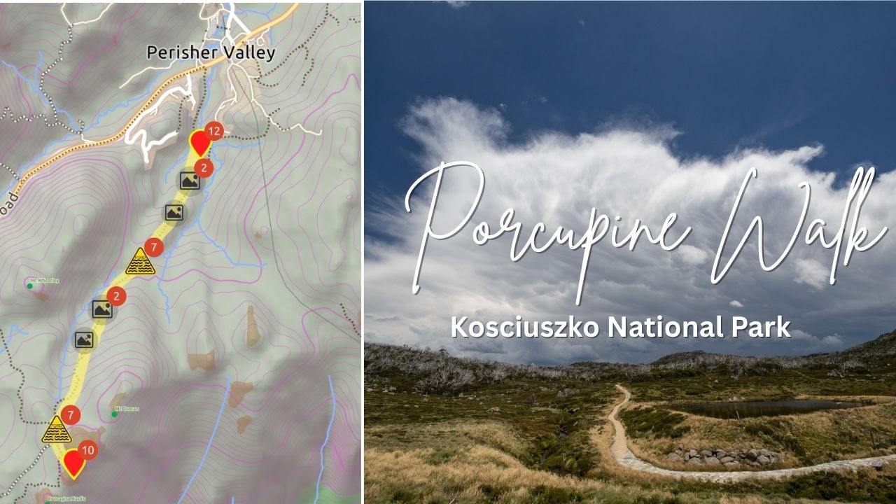 Porcupine Walk  - Incoming Storm