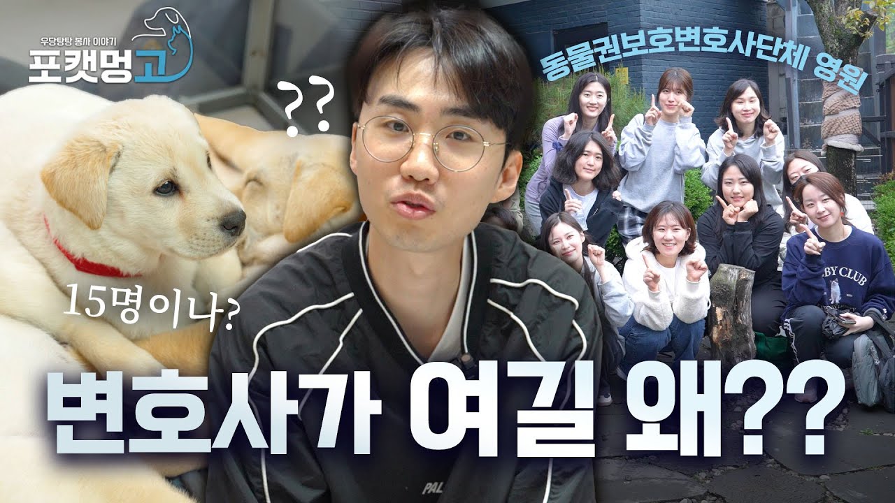 [EP.4] 결국 동물단체를 했더니… 변호사들이 찾아왔습니다🐶⚖️
