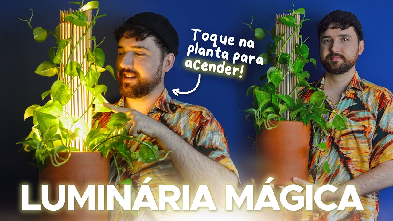 LUMINÁRIA MÁGICA COM PLANTA