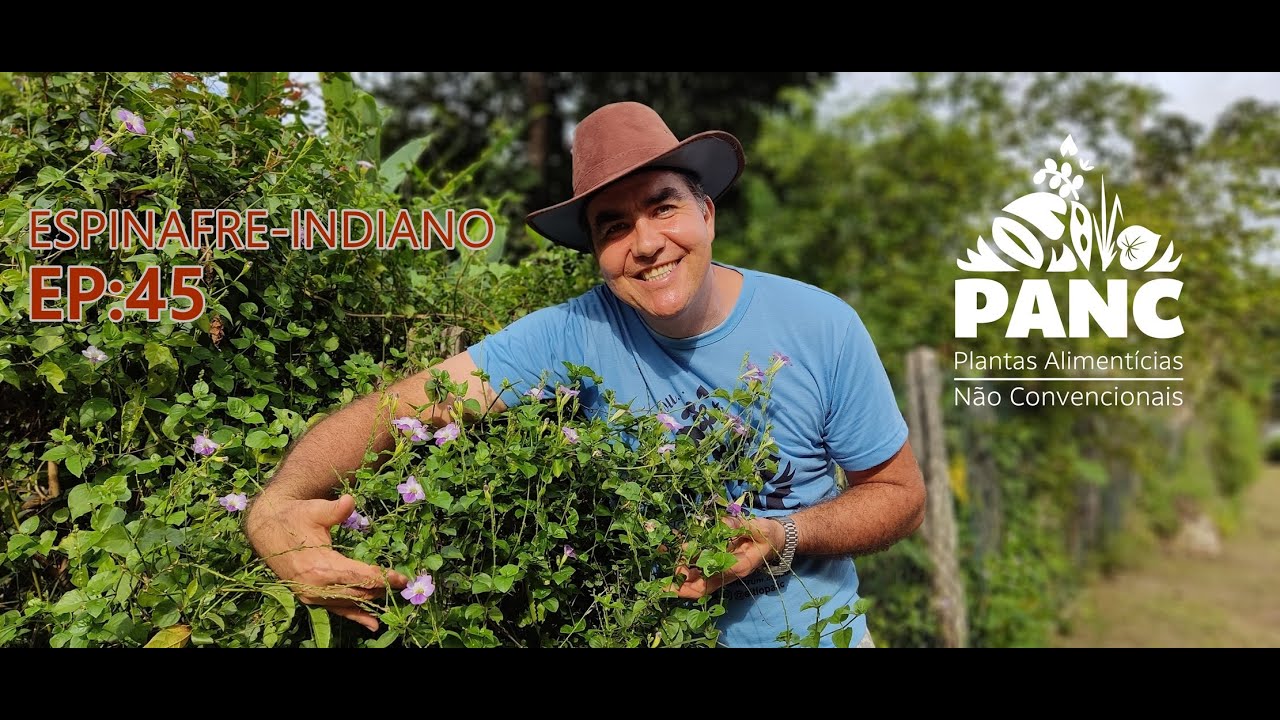 EPISÓDIO 45 - ESPINAFRE-INDIANO | #pancnaveia #valdelykinupp
