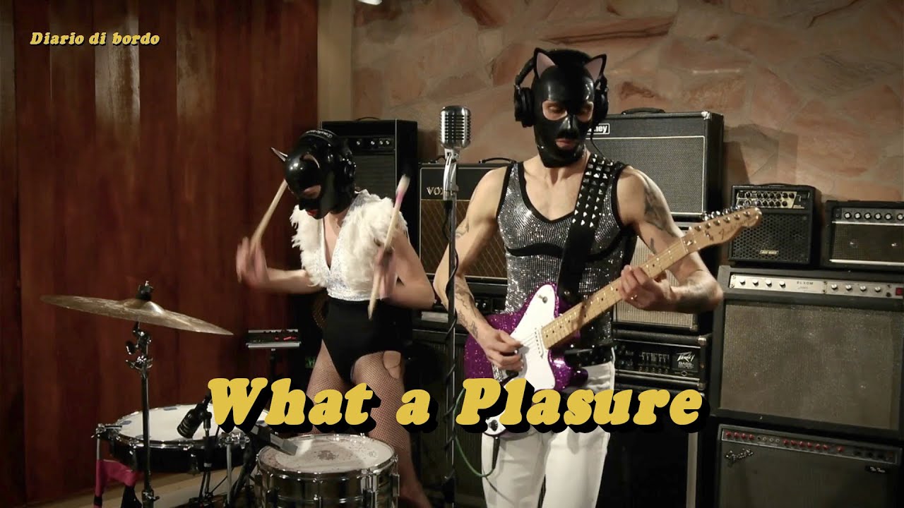 🛸 SPIN • Animaux Formidables • What A Pleasure • Live Session