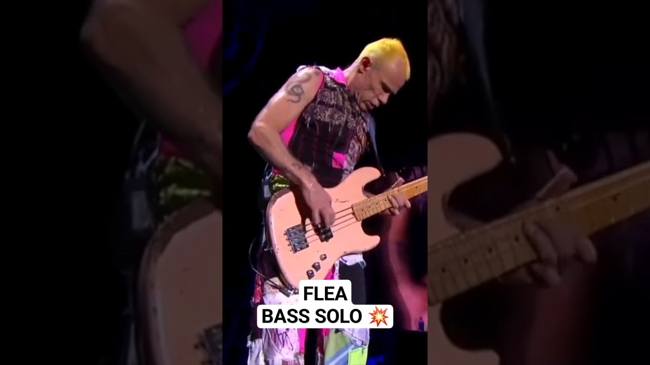 INCRE&Iacute;BLE SOLO DE BAJO 🌶💥 Red Hot Chili Peppers #rhcp #flea #bass #bajista