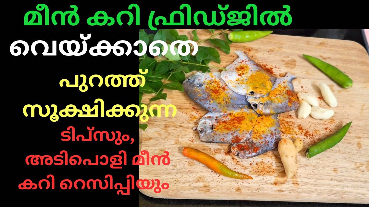 ഫ്രിഡ്ജിൽ അല്ലാതെയും മീൻകറി ഇങ്ങനെ സൂക്ഷിക്കാം #lilly‘s#cooking