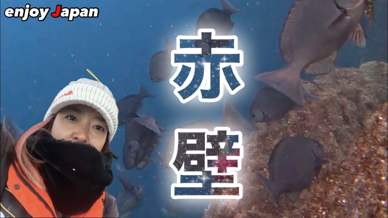 【赤壁の海の中】関東屈指の一級磯の海の中はこんな感じになっていた！