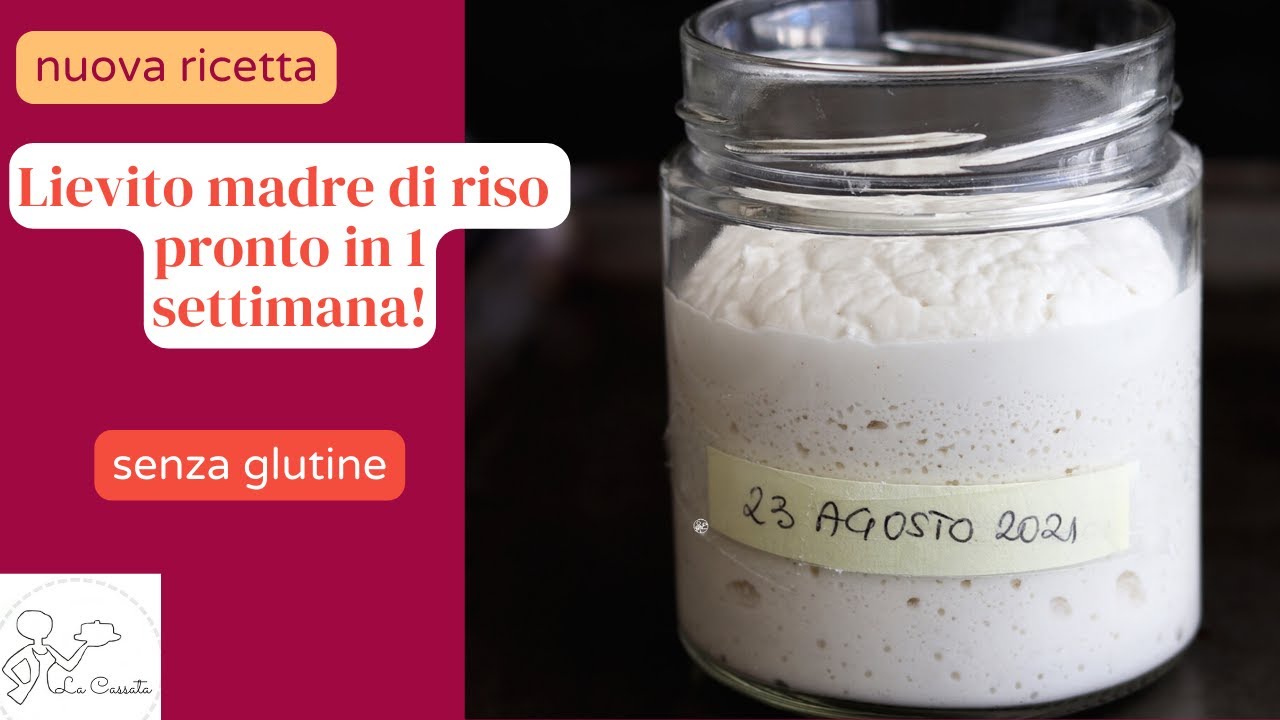 Lievito madre di riso senza glutine pronto in meno di una settimana