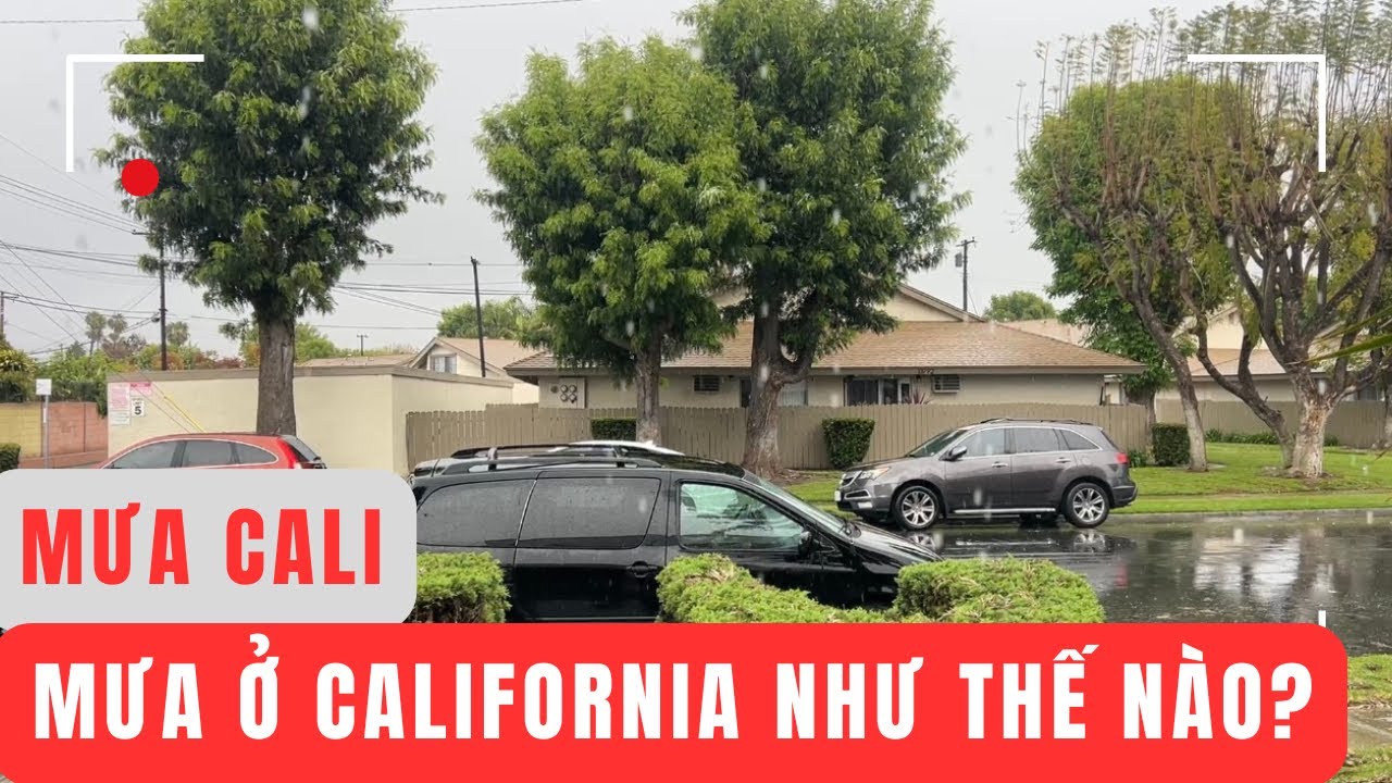 Mưa ở Cali như thế nào? How is the rain in California?
