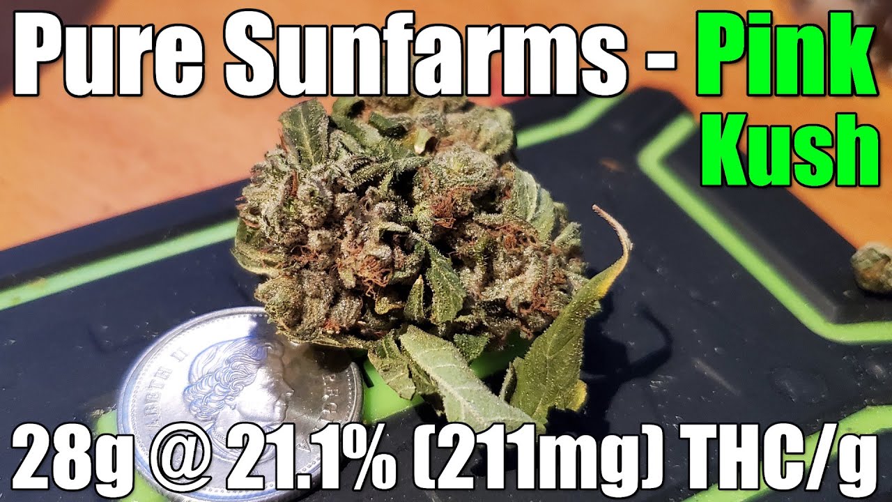 Pure Sunfarms - Pink Kush - Unboxing Review - 28g @ 21.1% (211mg) THC/g (+Extreme Closeups)