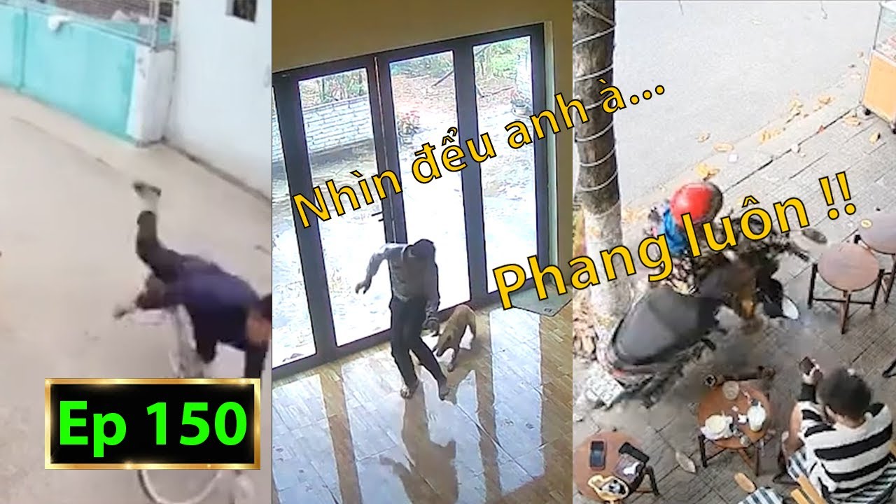 Hài Tin Việt 2025 Mới Nhất || Những Thằng Nguy Hiểm Ngu Nhất Hành Tinh Phần 150.