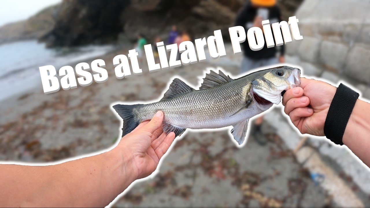 Fishing Cornwall - Lizard Point Bass