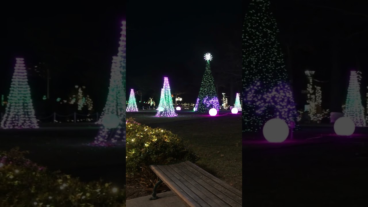 Bronx Zoo Holiday Lights: The Front Lawn Gateway to the Lantern Trails!