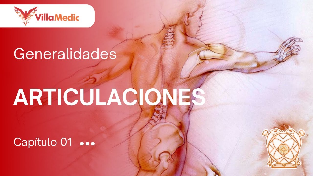 CC.BB. ANATO | Generalidades: Articulaciones - VillaMedic