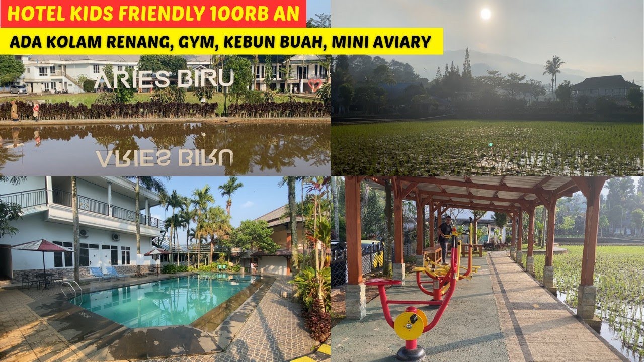 Hotel Murah Pemandangan Sawah, ada Kolam Renang dan mini Gym | Hotel Aries Biru - Puncak Bogor