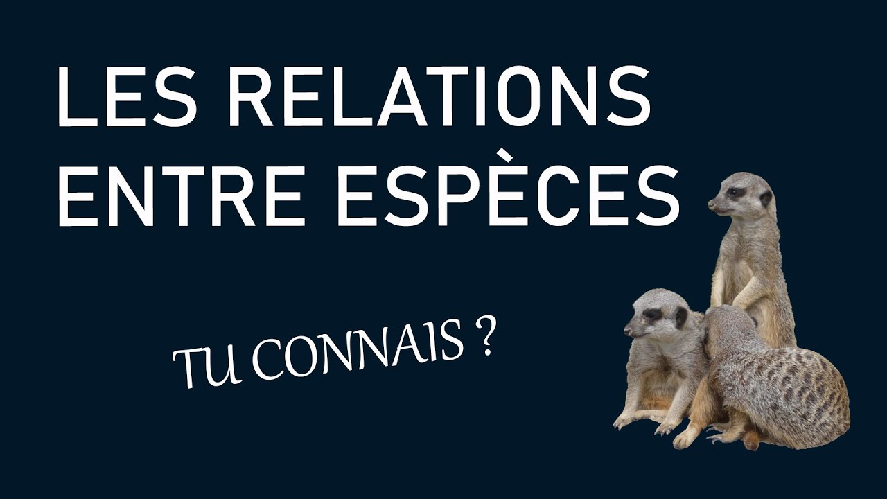 Les relations inter et intraspécifiques - Tu connais ?