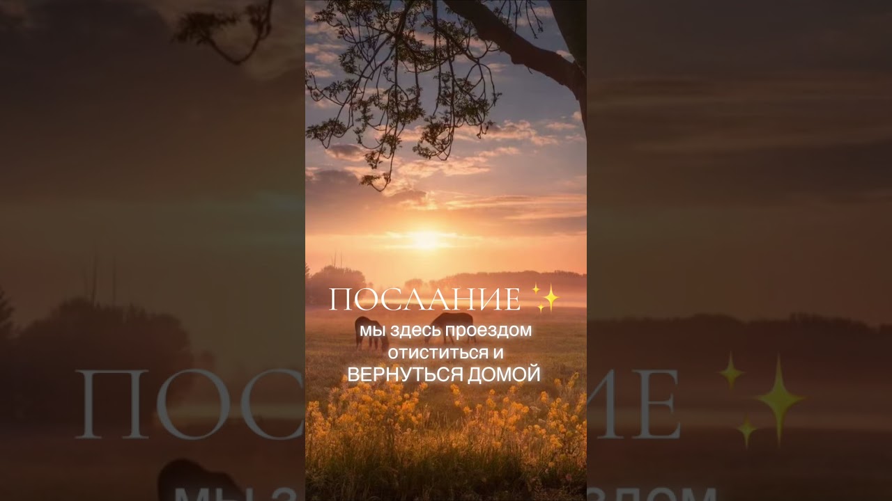Послание ✨не привязывайтесь ни к чему тебе ничего не принадлежит ￼