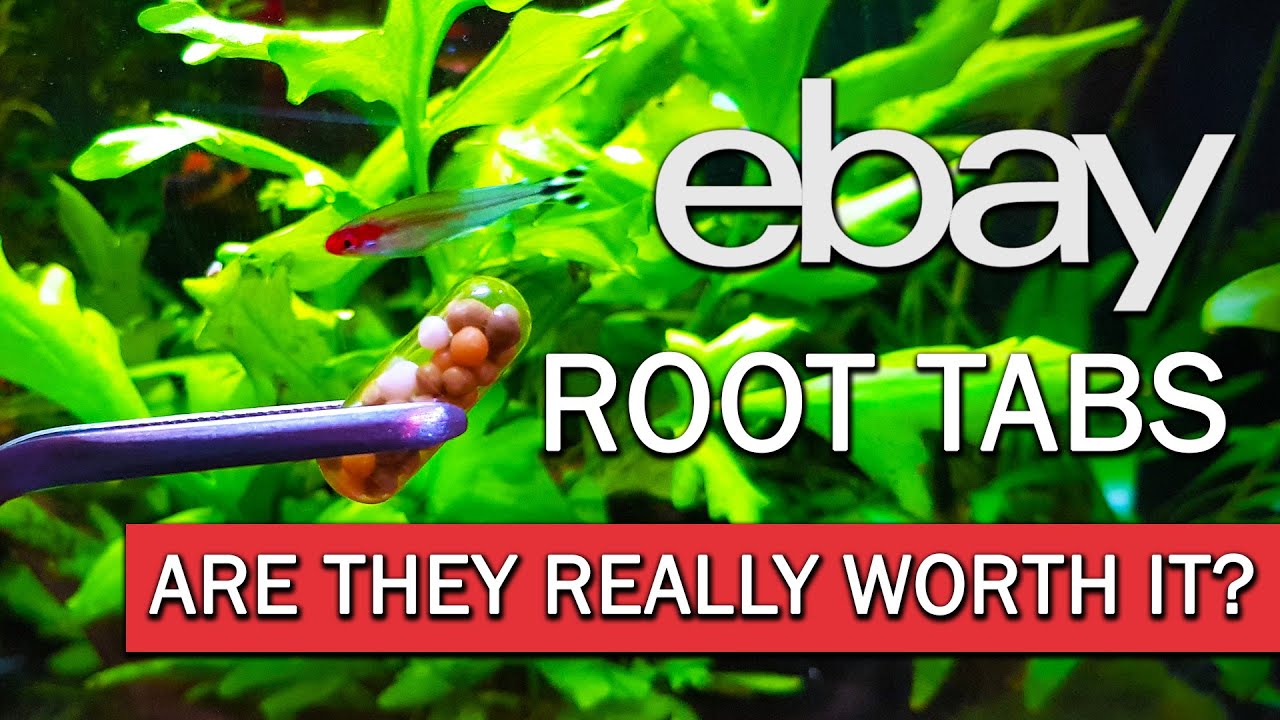 Ebay Root Tab Review | CHEAP Aquarium Root TABS from the internet - MR BRIGHTFRYED