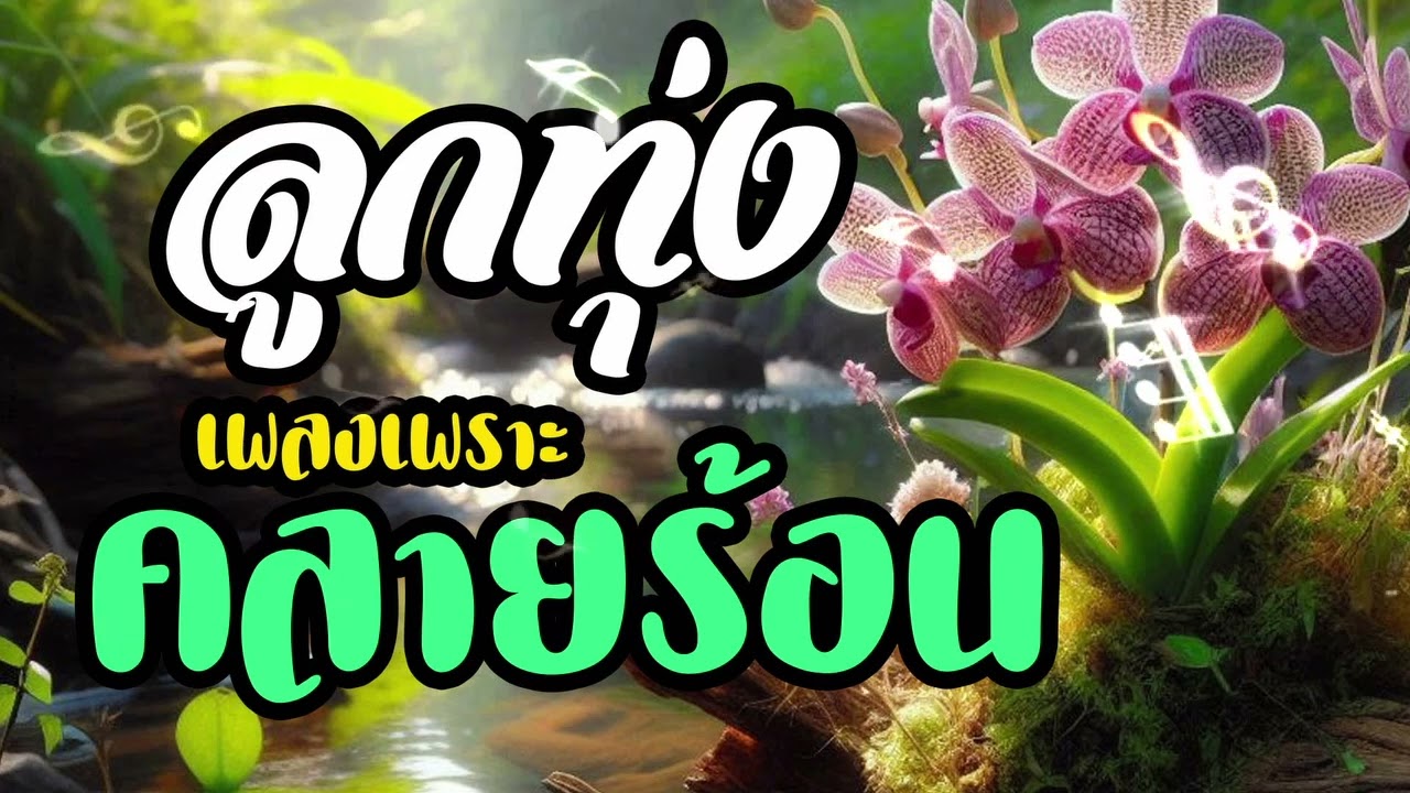 เพลงลูกทุ่งเพราะคลายร้อน ฟังแล้วไม่ร้อนใจ