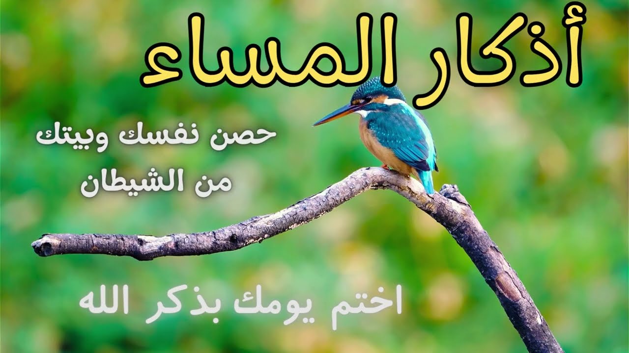 🌙 اختم يومك بذكر الله | أذكار المساء بصوتٍ خاشع يطمئن القلب