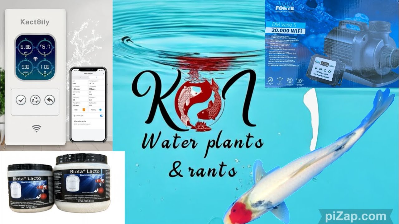 Update on the WiFi katoily water monitor , and pump, koi koi koi and TDS