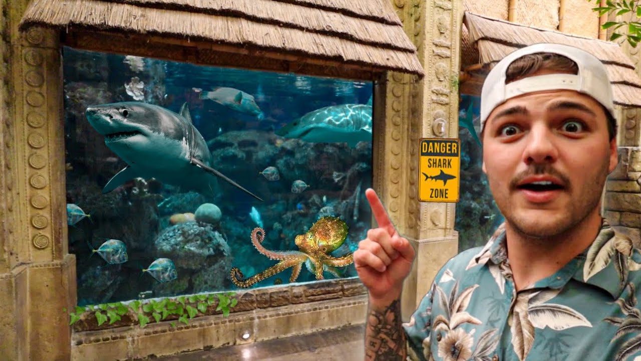 Visiting LARGEST AQUARIUM’S I can find on MAPS!!