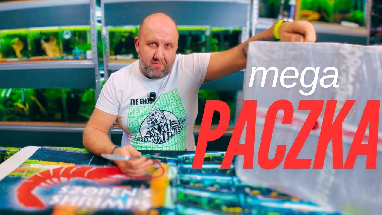 NOWE OŚWIETLENIE LEDDY SMART BT - AQUAEL / UNBOXING / TEST /