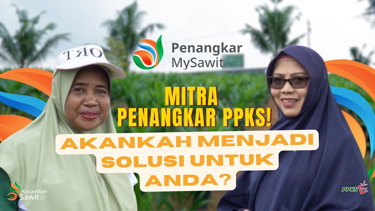 Mitra Penangkar PPKS! Akankah menjadi solusi untuk anda?