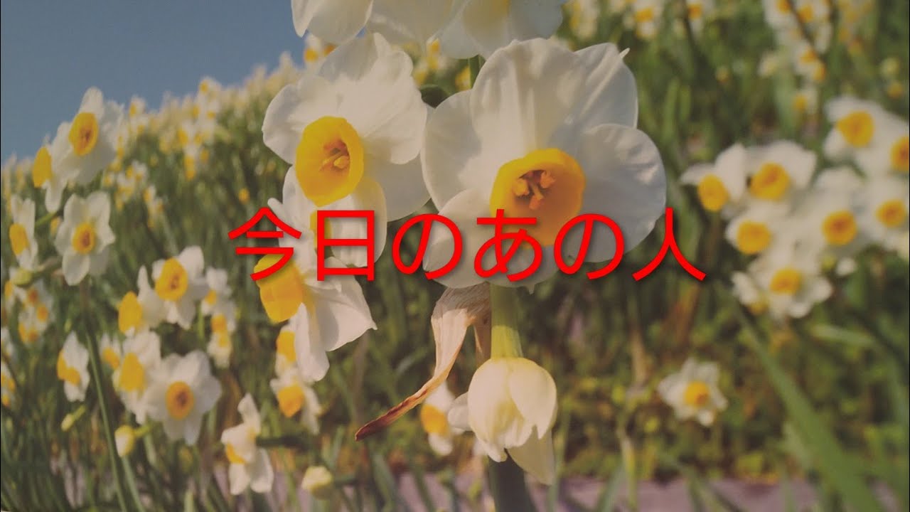 今日のあの人の様子とあなたに思った事