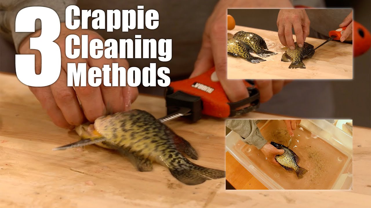 Clean Crappie:  3 Great Ways to Clean Crappie!
