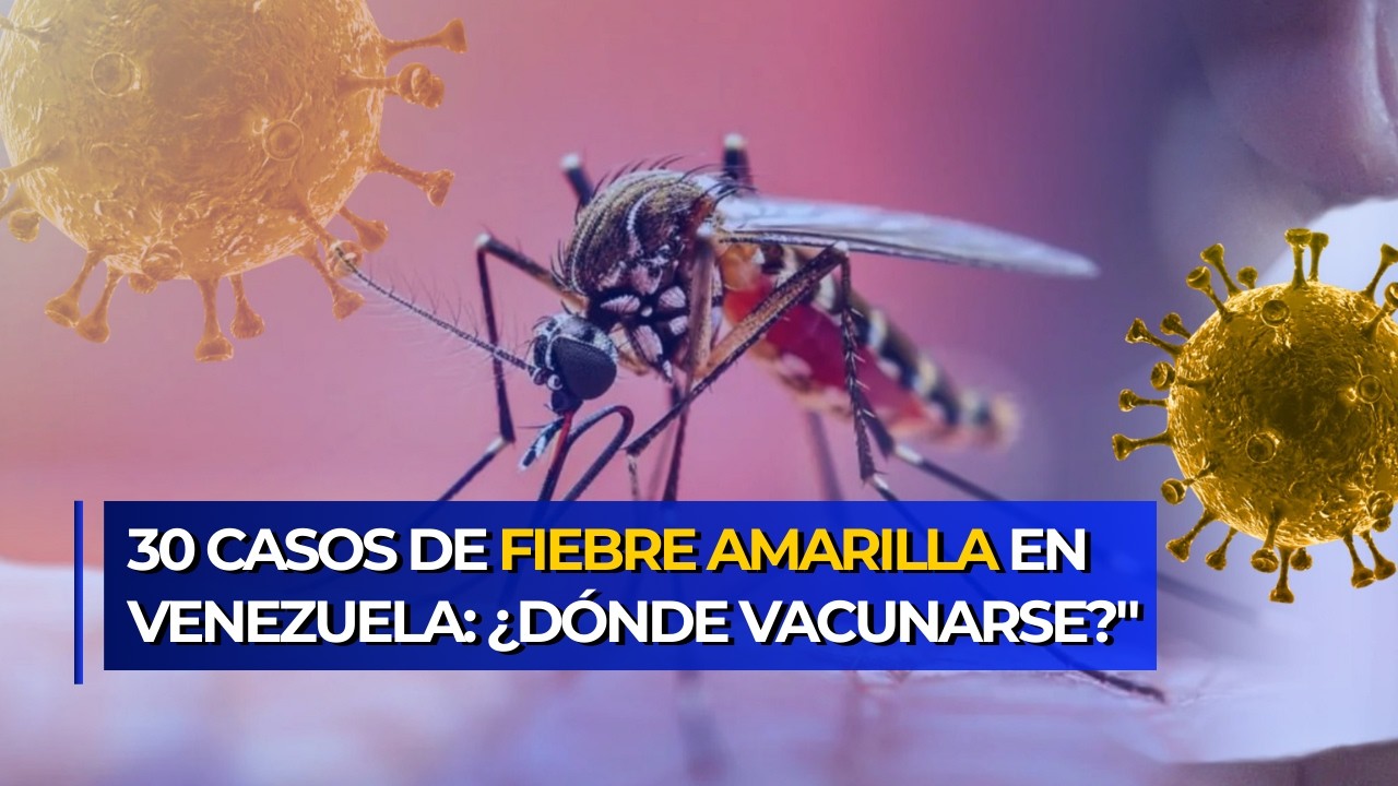 Fiebre Amarilla en la región: OPS alerta sobre aumento de casos en Brasil, Ecuador y Venezuela