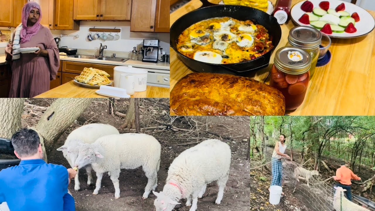 TIDYING THE HOUSE, ORGANIZING TIME TO COOK, CLEAN AND HOMESCHOOL|#family #homeschooling #homemaker