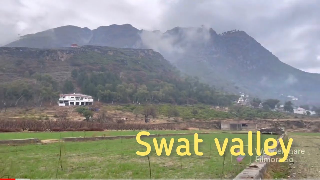 Rainyday|winter|Beautiful forest | Heavy Rain|swat valley|pakistan