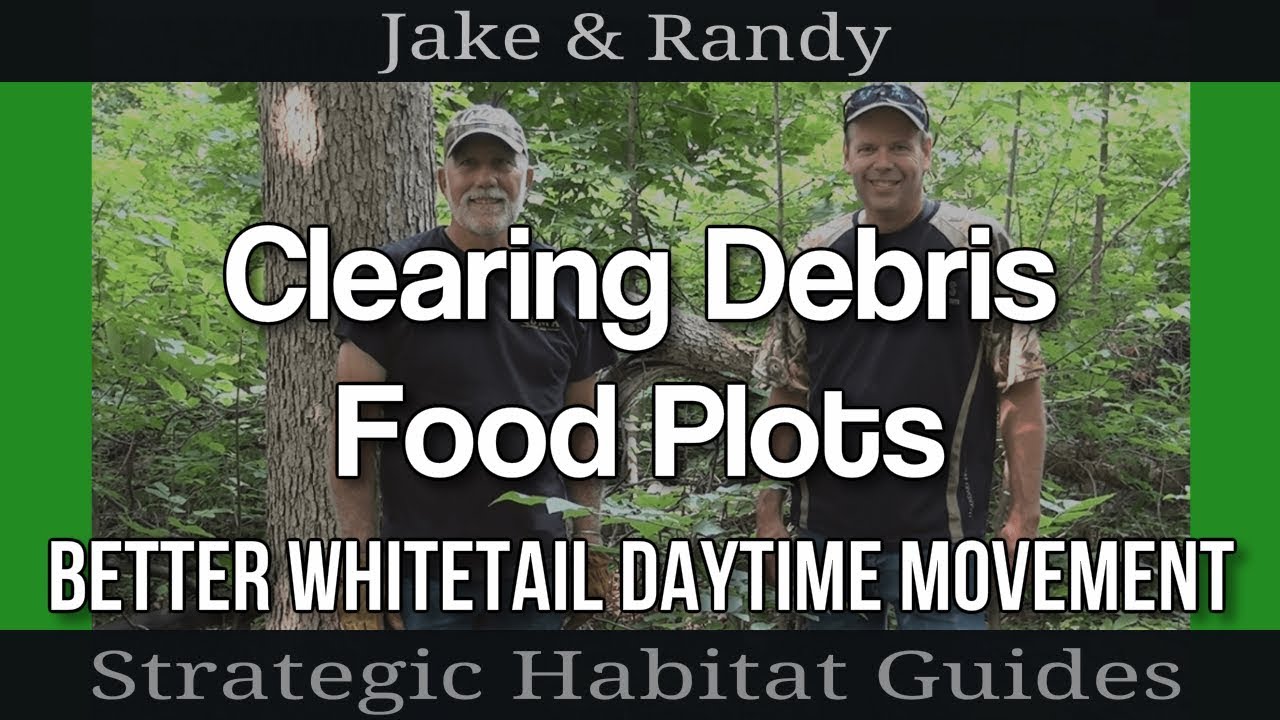 Clearing Food Plot Trails for Better Daytime Deer Movement