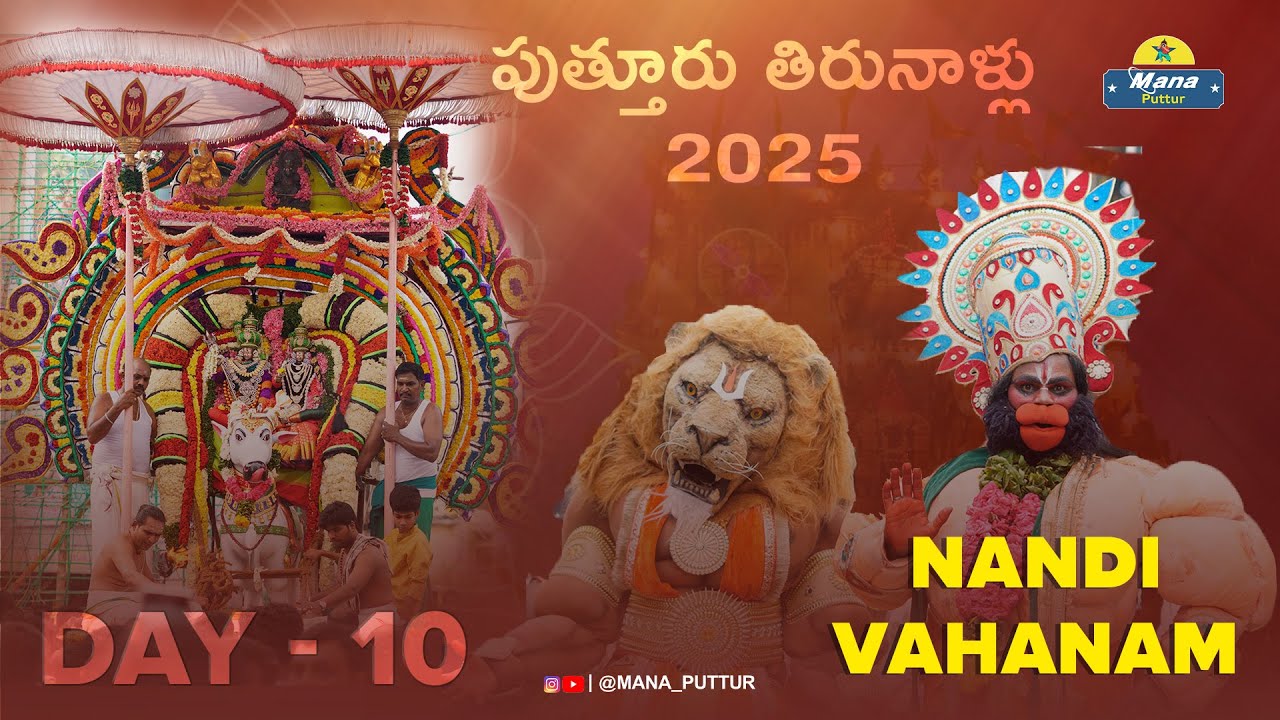 Nandi vahanam || Day 10 || Sri Draupadi Devi Dharmaraja Thirunalu 2025 Puttur || Mana Puttur