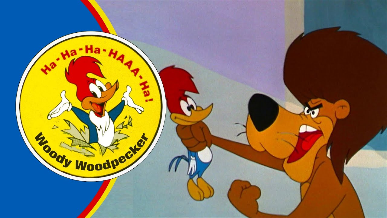 Woody Hides a Lion!  | Woody Woodpecker