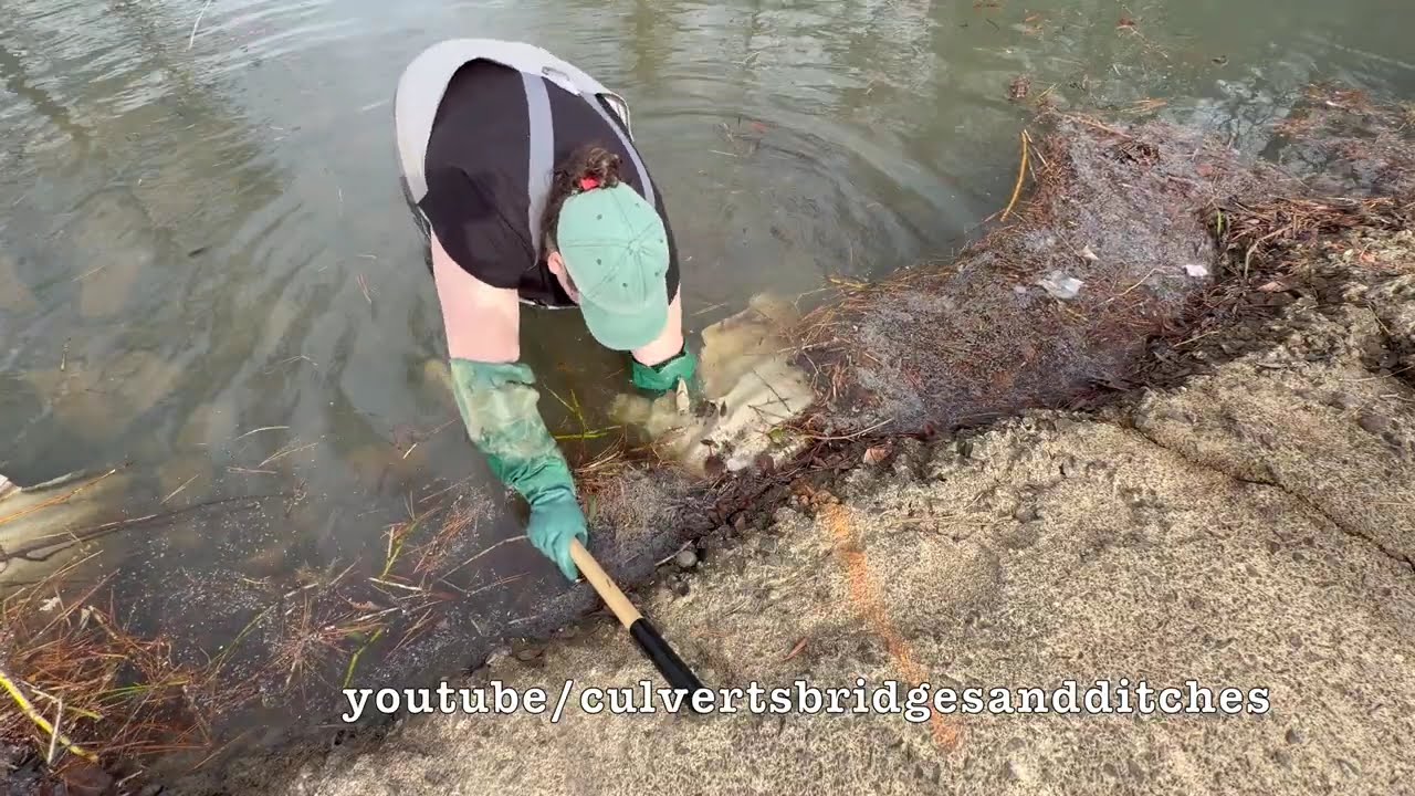 UNCLOGGING BEAVER CLOGGED CULVERTS! 01/2026 NT#98