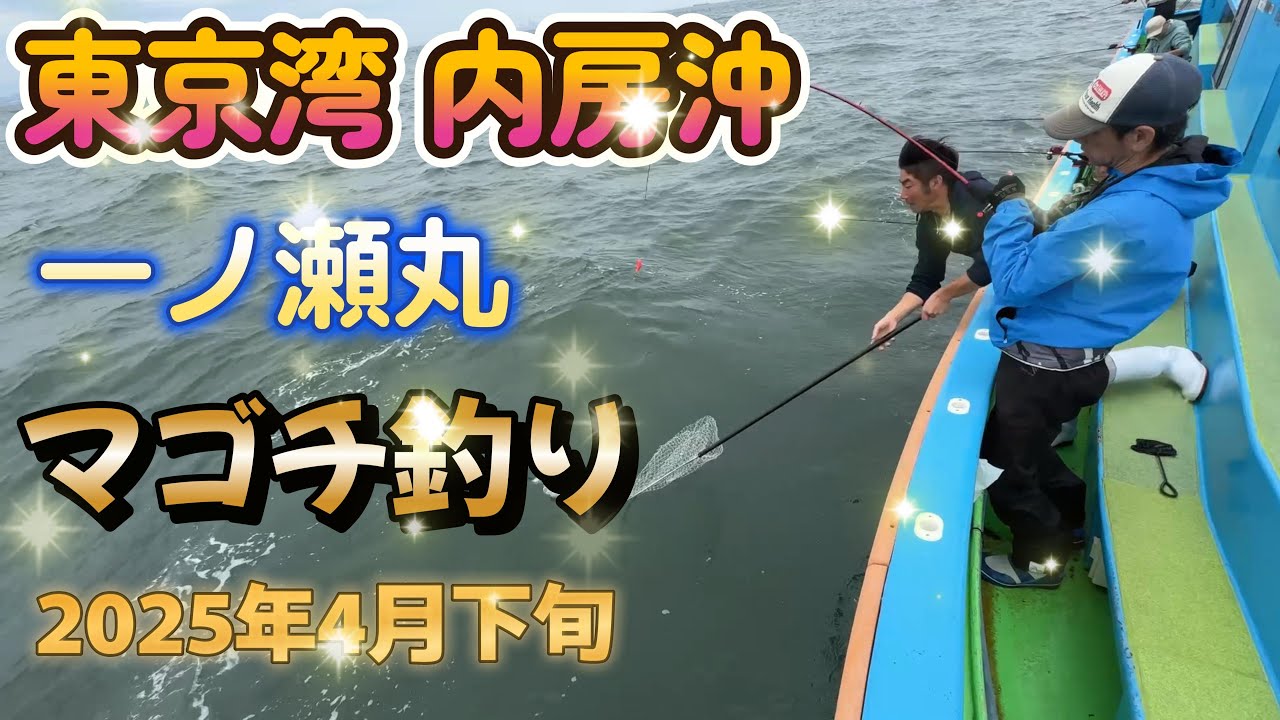 東京湾　一ノ瀬丸　マゴチ（サイマキエビ）