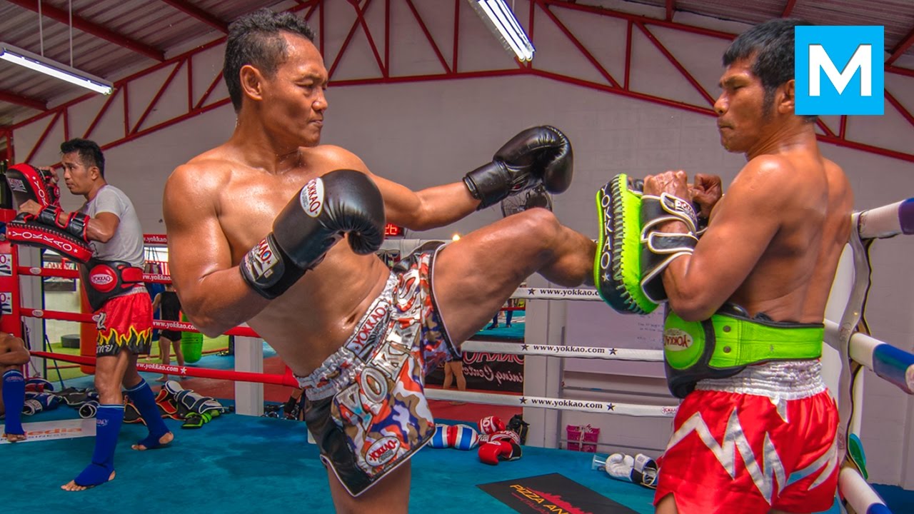 Saenchai Muay Thai Training | Muscle Madness