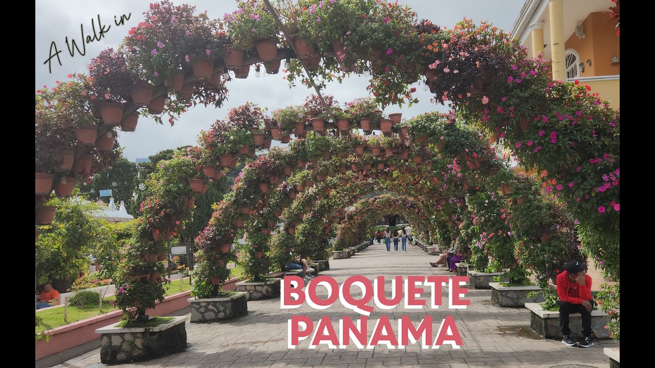 Exploring Panama: A Day Walking in Beautiful Boquete