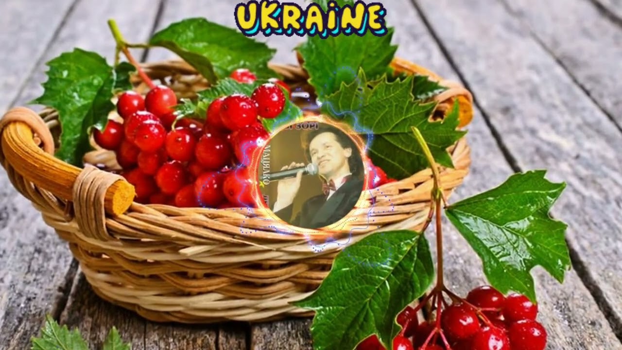 Іван Мацялко - Гiлка Калини