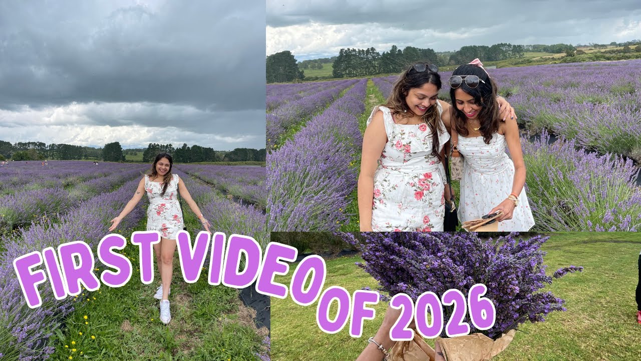 2026 පලවෙනි Video එක | අවුරුද්දේ මුලම උන අකරතැබ්බිය | අපි Lavender Picking  ගියා | Pinky's Life